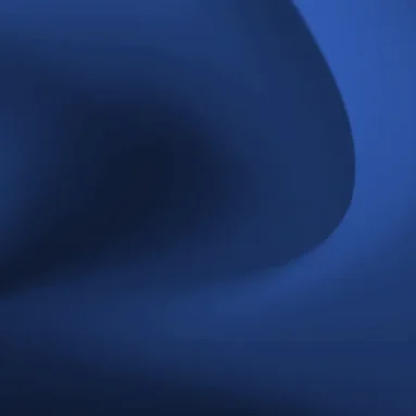 Layer 11 Layer 11